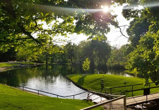 Eat, Relax, Repeat: The Ultimate Guide to Niagara Falls Picnic Spots