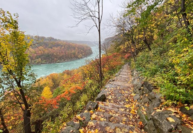 Chasing Fall Colors: Top Hiking Trails Near Niagara Falls This Autumn